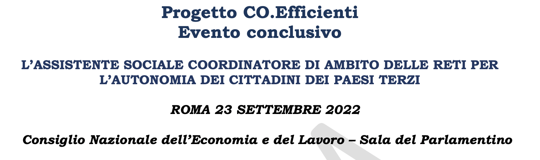 Progetto CO.Efficienti. L'assistente sociale coordinatore di ambito delle reti per l'autonomia dei cittadini dei paesi terzi